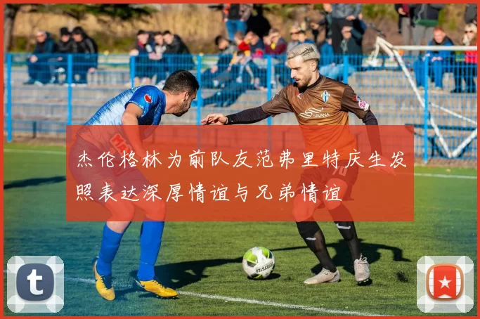 杰伦格林为前队友范弗里特庆生发照表达深厚情谊与兄弟情谊
